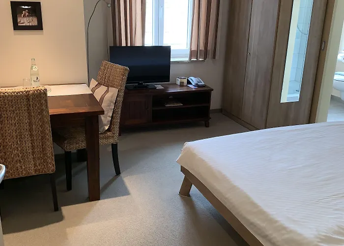 多瑙河酒店 3*